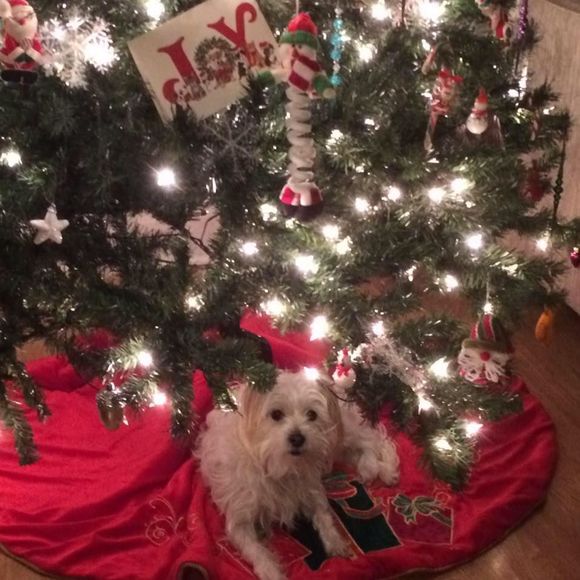 Meet your Posher, Sheri - Picture 1 of 1